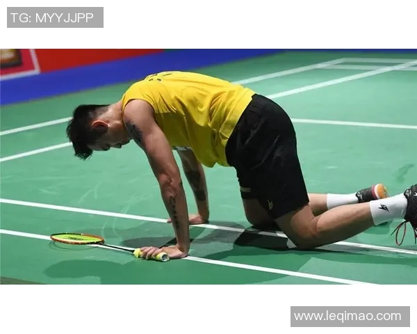 南京羽毛球队选拔赛表现分析与状态评估探讨